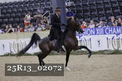 25R13_02072 thumbnail