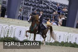 25R13_02102 thumbnail