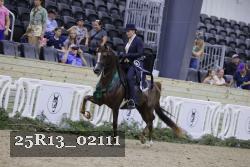25R13_02111 thumbnail