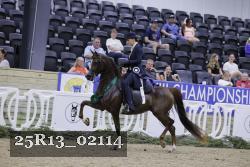 25R13_02114 thumbnail