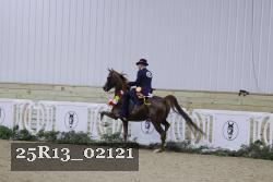 25R13_02121 thumbnail