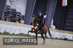 25R13_02125 thumbnail