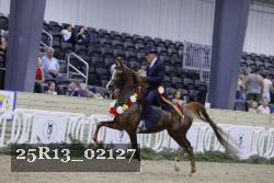 25R13_02127 thumbnail