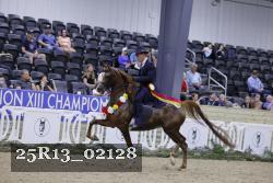 25R13_02128 thumbnail