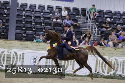 25R13_02130 thumbnail