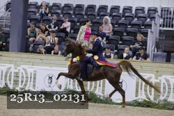 25R13_02131 thumbnail