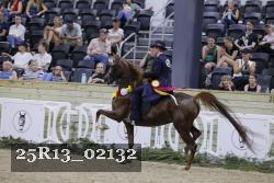 25R13_02132 thumbnail