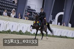 25R13_02133 thumbnail
