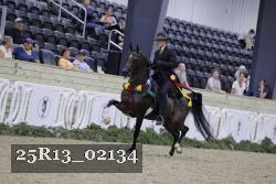25R13_02134 thumbnail