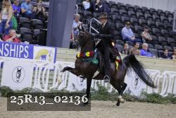 25R13_02136 thumbnail