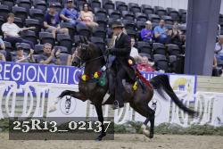 25R13_02137 thumbnail