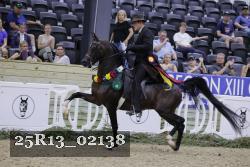 25R13_02138 thumbnail