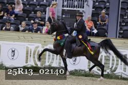 25R13_02140 thumbnail