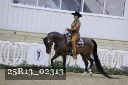 25R13_02313 thumbnail