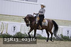 25R13_02316 thumbnail