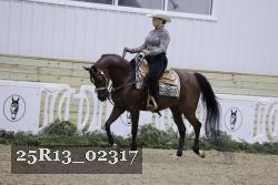 25R13_02317 thumbnail