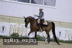25R13_02323 thumbnail