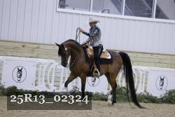 25R13_02324 thumbnail