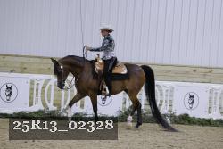 25R13_02328 thumbnail