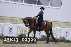 25R13_02329 thumbnail