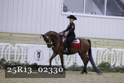 25R13_02330 thumbnail