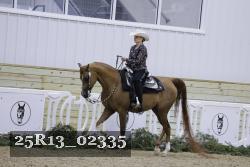 25R13_02335 thumbnail