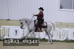 25R13_02342 thumbnail