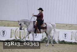 25R13_02343 thumbnail