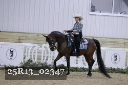 25R13_02347 thumbnail