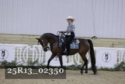 25R13_02350 thumbnail