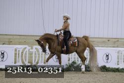 25R13_02351 thumbnail
