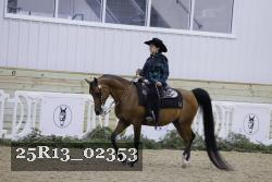 25R13_02353 thumbnail