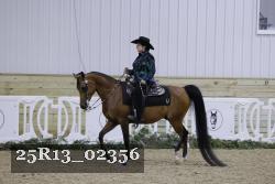 25R13_02356 thumbnail