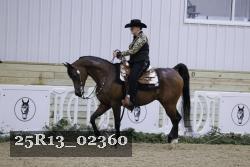 25R13_02360 thumbnail