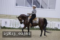 25R13_02362 thumbnail