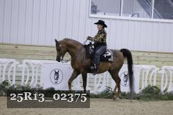 25R13_02375 thumbnail