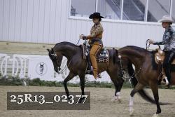 25R13_02377 thumbnail
