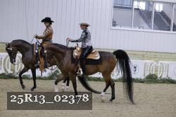 25R13_02378 thumbnail