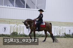 25R13_02382 thumbnail