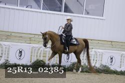 25R13_02385 thumbnail