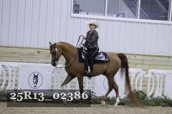 25R13_02386 thumbnail