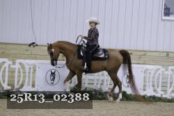 25R13_02388 thumbnail