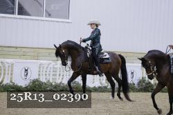 25R13_02390 thumbnail