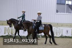 25R13_02393 thumbnail