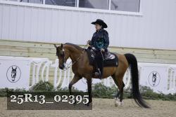 25R13_02395 thumbnail