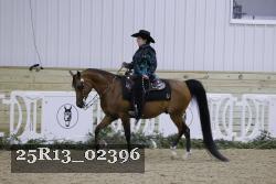 25R13_02396 thumbnail