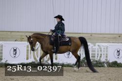 25R13_02397 thumbnail