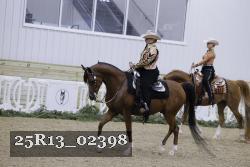 25R13_02398 thumbnail