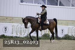 25R13_02403 thumbnail