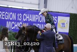 25R13_02420 thumbnail
